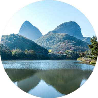 진안홍삼캔디 point2